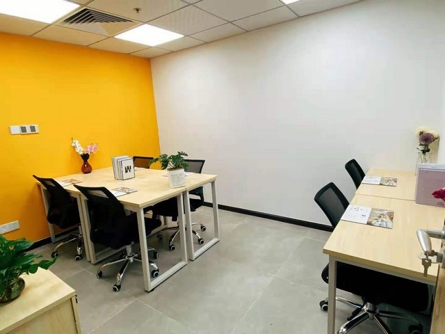 山东云杉树干批发价