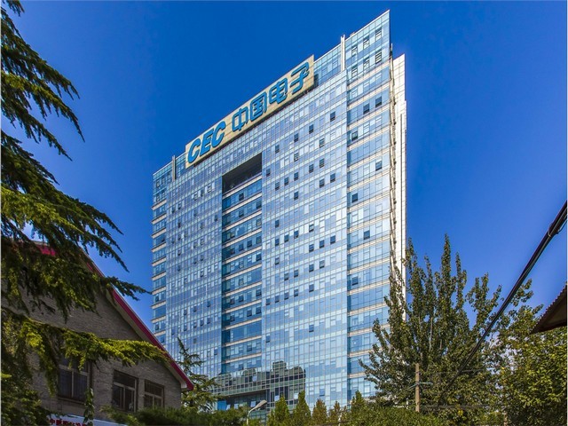 山东云杉树干批发价